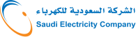 Push-to-talk electric company